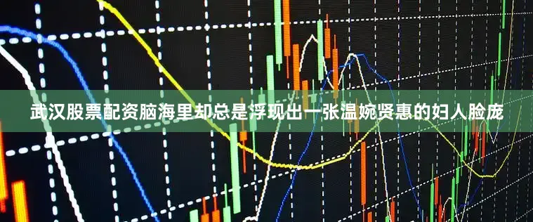 武汉股票配资脑海里却总是浮现出一张温婉贤惠的妇人脸庞