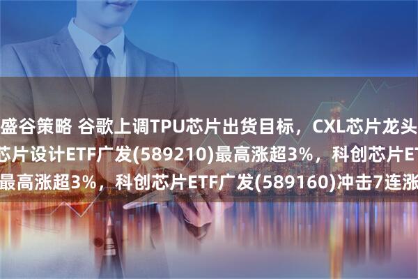 盛谷策略 谷歌上调TPU芯片出货目标，CXL芯片龙头澜起科技受益，科创芯片设计ETF广发(589210)最高涨超3%，科创芯片ETF广发(589160)冲击7连涨